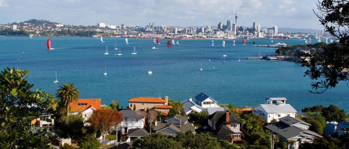 Wellington to Auckland Movers | Grace Removals NZ
