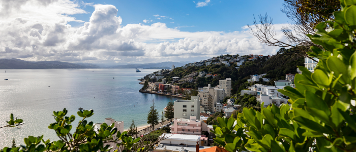 View of Oriental Bay from Mount Victoria in Wellington