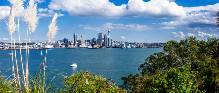 Why Move to Auckland? | Grace Removals NZ